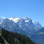 Ritterstuebli